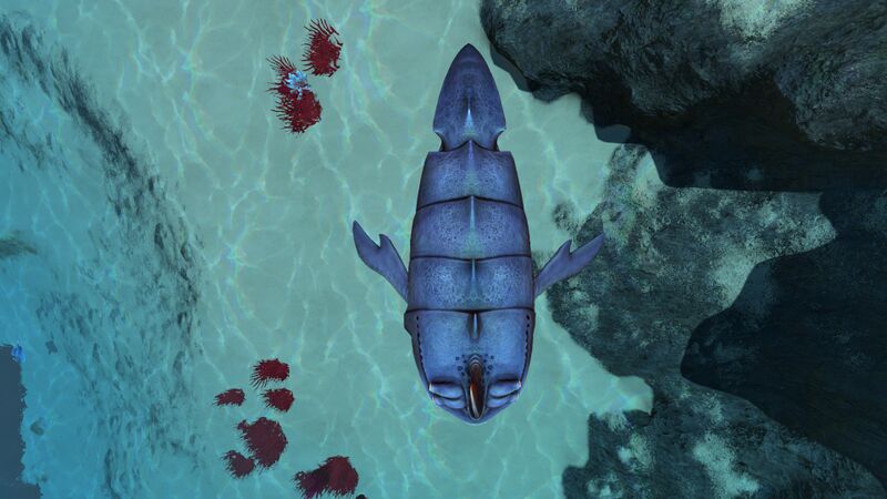 File:SandShark3.jpg