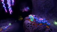 Some of the Sea Crowns found within