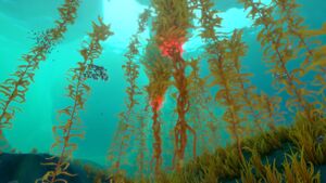 ArcticKelpForest 1.jpg