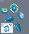 Titan Holefish Eggs - by Alex Ries
