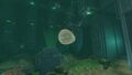 A ball of Baby Leviathan Enzymes produced by Sea Emperor Babies as they leave the Aquarium