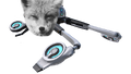 Thumbnail for version as of 22:12, 6 August 2021