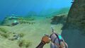 Thumbnail for version as of 14:36, 10 March 2017