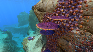 PurpleTableGallery.png