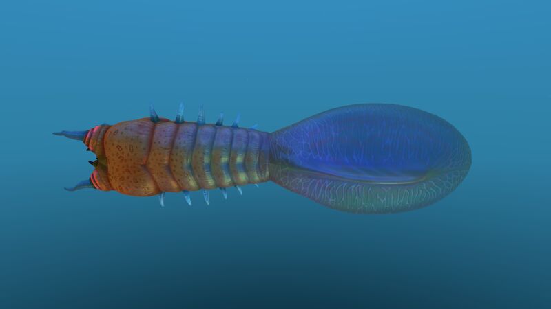 File:Bleeder 10.jpg