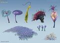 Thumbnail for version as of 21:18, 6 August 2021