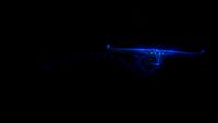 An adult Ghost Leviathan in the Void