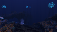 An overview of the Grand Reef