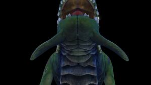 SeaDragonH.jpg