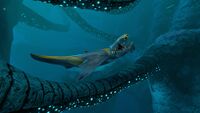A Brute Shark hunting in the Twisty Bridges