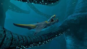TB Brute Shark.jpg