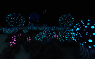 Bulb Zone Bioluminescence at night
