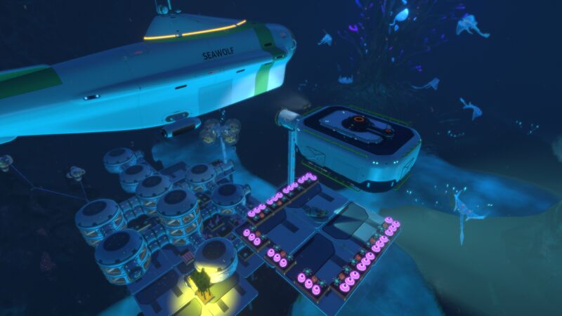 File:CoveTreeBase4.jpg