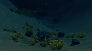 Dunesrocksandgrass.jpg