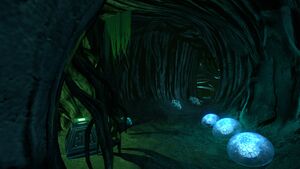 GhostForestCache6.jpg