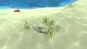 GreenReeds02.jpg