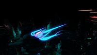 Bioluminescence