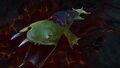 Lava Lizard Attacking