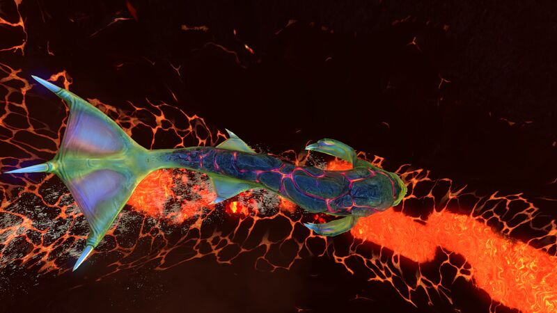 File:Lava shell 2.jpg