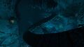 Thumbnail for version as of 08:02, 7 August 2021