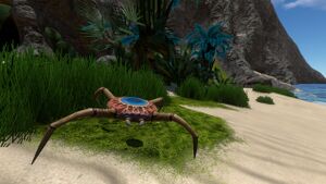 CaveCrawler MountainIsland.jpg