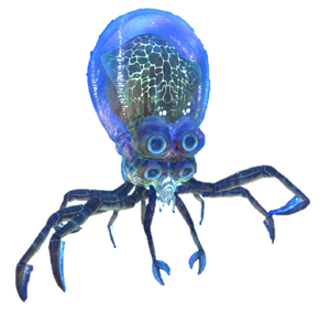 CrabsquidInfobox.png