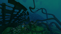 Fallen Lilypad stem