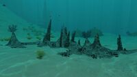 A cluster of small formations in the Sparse Reef