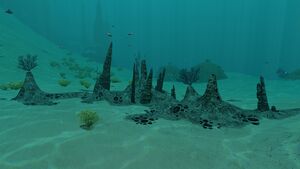 SparseReef4.jpg