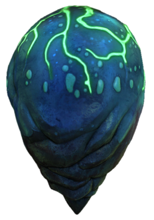 Squidyegg.png