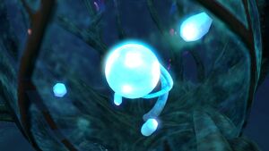 Tree-Cove-inside.jpg
