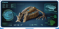 The Sea Dragon Leviathan Skeleton PDA