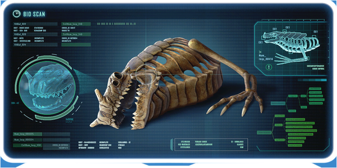 DragonSkelEncy.PNG