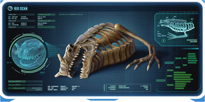 DragonSkelEncy.PNG