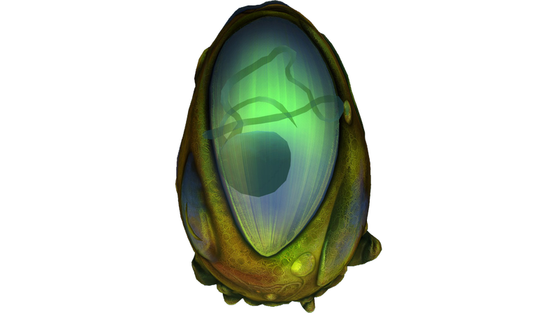 File:Eggs (8).png