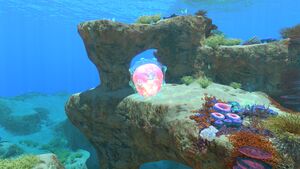 Floater3.jpg
