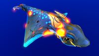 Infected Rabbit Ray