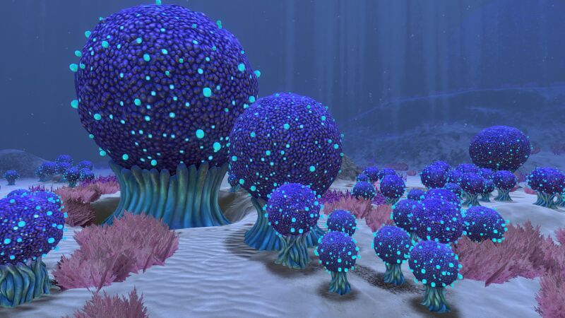 File:Kooshzone1.jpg