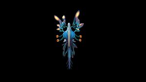 Lily Paddler 2.jpg