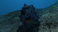 The large form of Magnetite