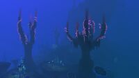 Several Tree Spires
