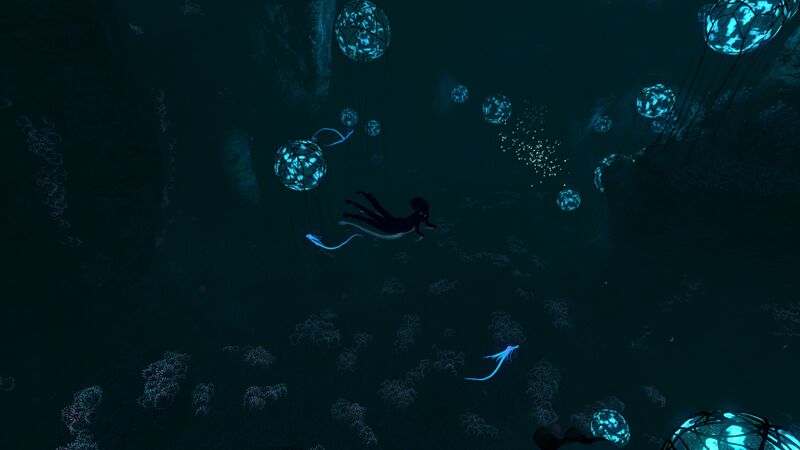 File:Warper in the Deep Grand Reef.jpg