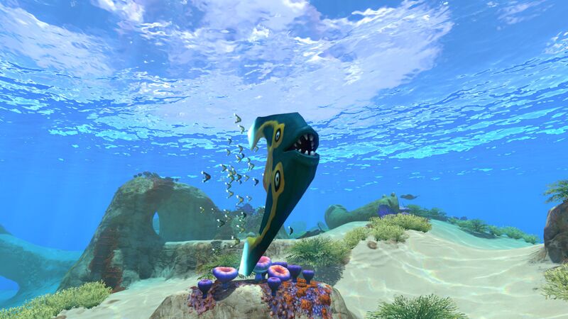 File:Boomerang2.jpg