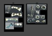Snowfox Design Process - by Evgeny Park