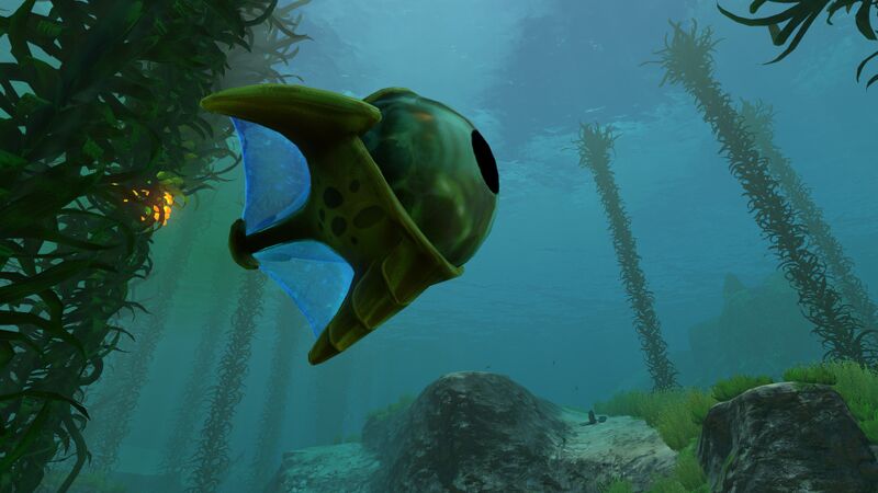 File:Eyeye4.jpg