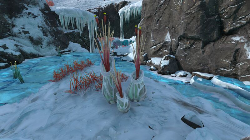 File:FrozenRiverPlant01 1.jpg