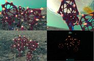 Several screenshots from the developers showing this plant from different angles