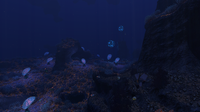 Membrain Trees in the Grand Reef