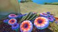 Thumbnail for version as of 17:44, 26 January 2016