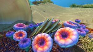Shrooms.jpg